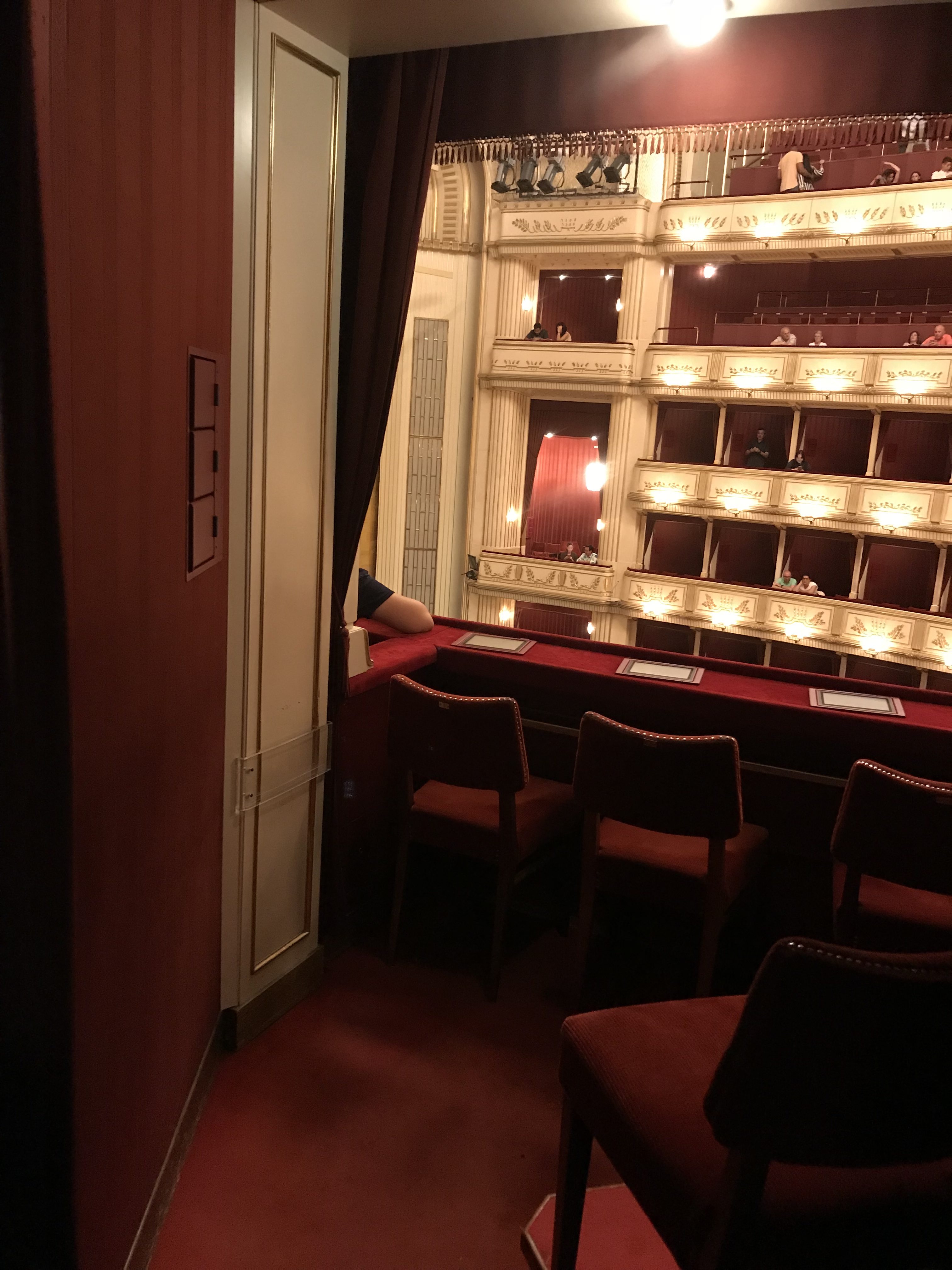 ウィーン４】オペラ座のボックス席でコンサート | 道草はどちら？